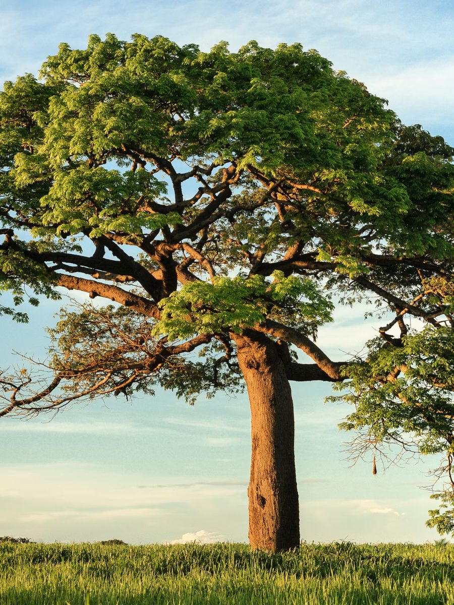 diseño sin título (5)