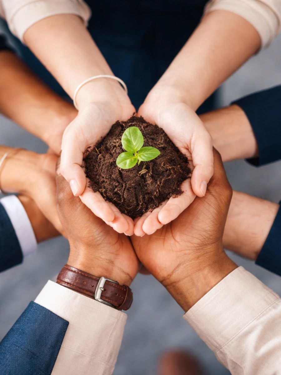 diseño sin título (6)